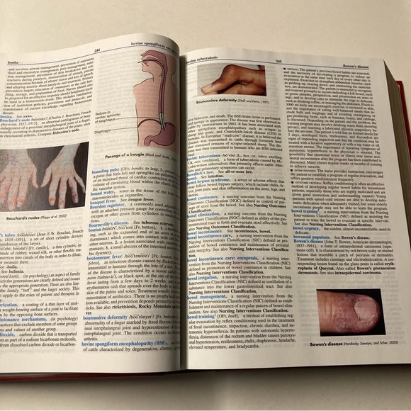 Mosby's Medical Dictionary - Picture 9 of 13